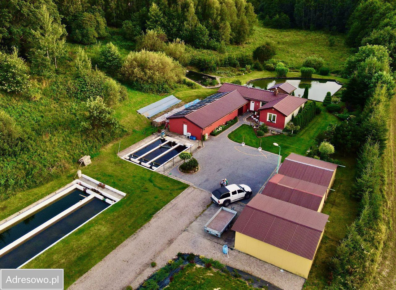 gospodarstwo, 3 pokoje Barcino. Zdjęcie 6