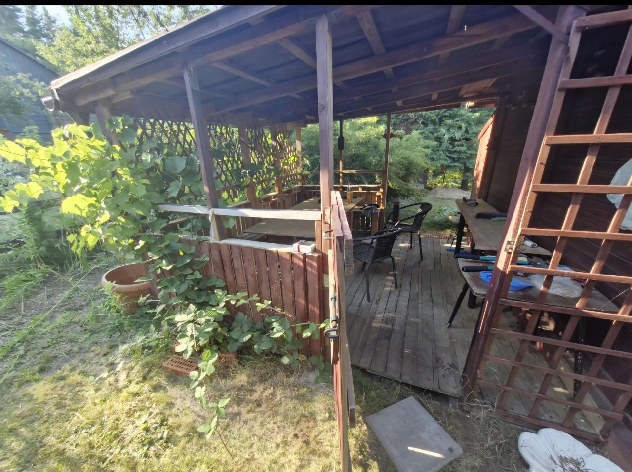 Działka rod Białystok Jaroszówka, ul. Gwiazdkowa. Zdjęcie 5