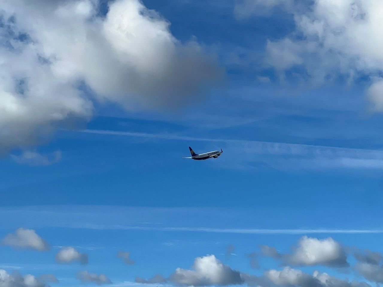 Działka leśna Białcz, kocosjhfihjs. Zdjęcie 5