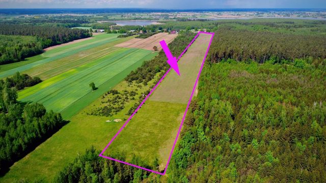 Działka siedliskowa Orzechówka. Zdjęcie 5