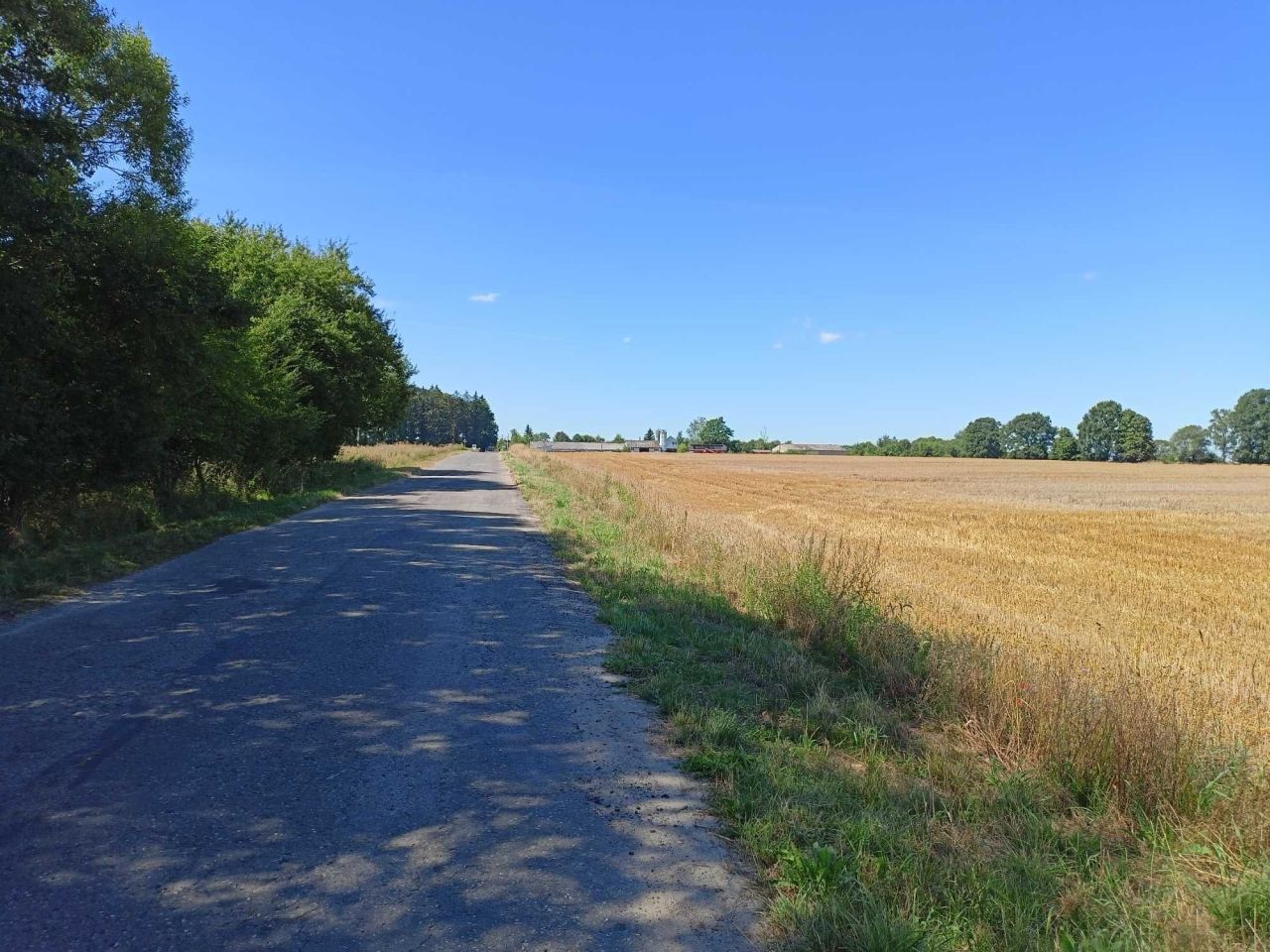 Działka budowlana Mechowo. Zdjęcie 2