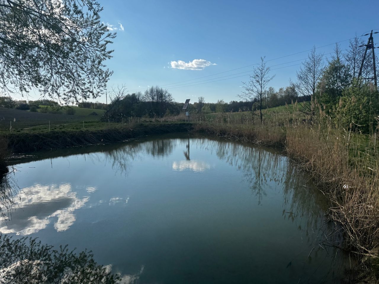 Działka rolno-budowlana Błędowa Zgłobieńska. Zdjęcie 11