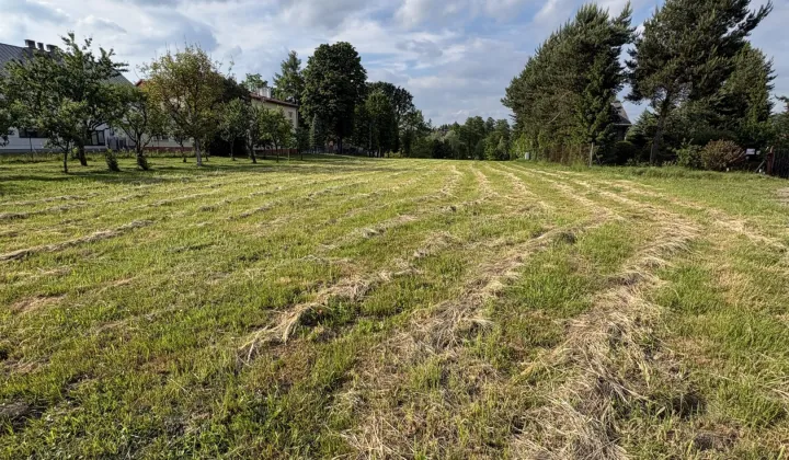 Działka siedliskowa Rączna