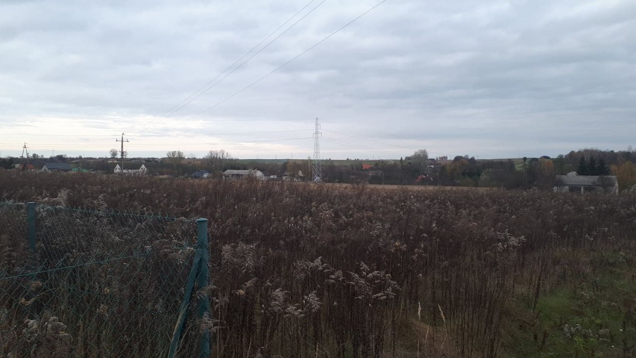 Działka rolno-budowlana Pliszczyn. Zdjęcie 2