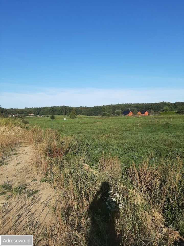 Działka budowlana Dębina, ul. Torfowa. Zdjęcie 3