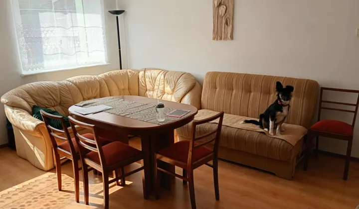 bliźniak, 7 pokoi Jasień