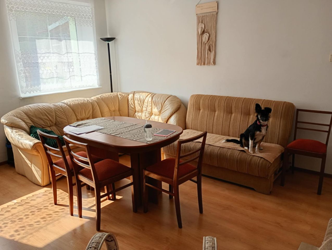 bliźniak, 7 pokoi Jasień