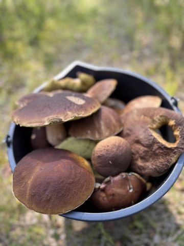 Działka rekreacyjna Parchowo Parchowski Młyn. Zdjęcie 1