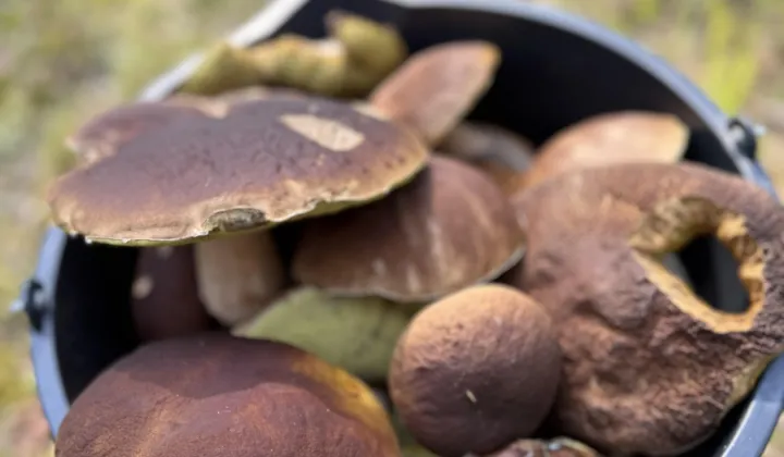 Działka rekreacyjna Parchowo Parchowski Młyn