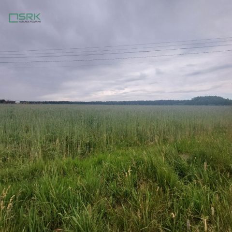 Działka inna Rudziczka, ul. Woszczycka. Zdjęcie 3