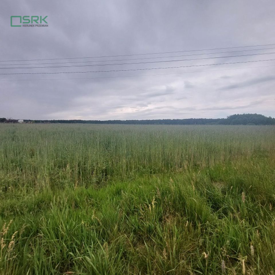 Działka inna Rudziczka, ul. Woszczycka. Zdjęcie 3