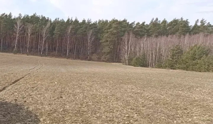 Działka budowlana Osie, ul. Stary Tartak