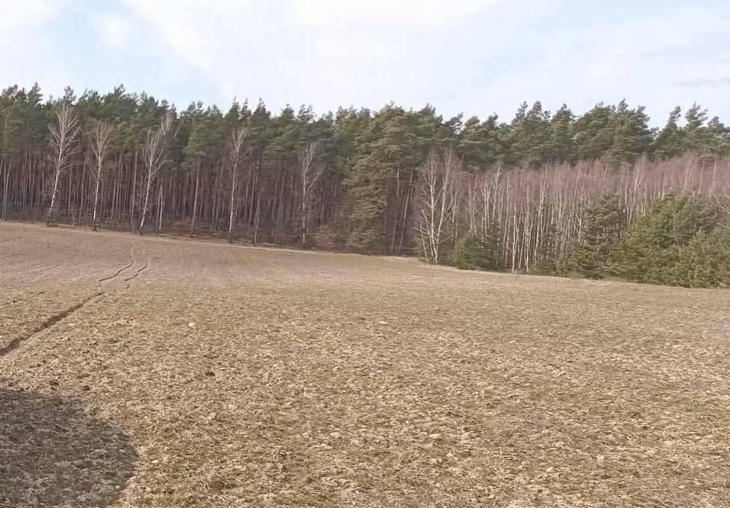 Działka budowlana Osie, ul. Stary Tartak. Zdjęcie 1