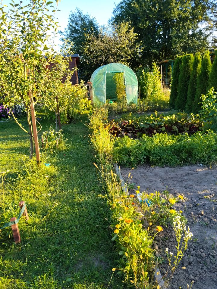 Działka rod Zamość, ul. Lipska. Zdjęcie 10