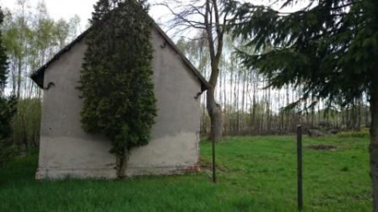 Działka rolno-budowlana Łódź Bałuty, ul. Strykowska. Zdjęcie 7