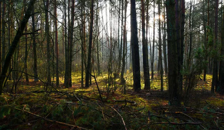 Działka budowlana Turna Duża