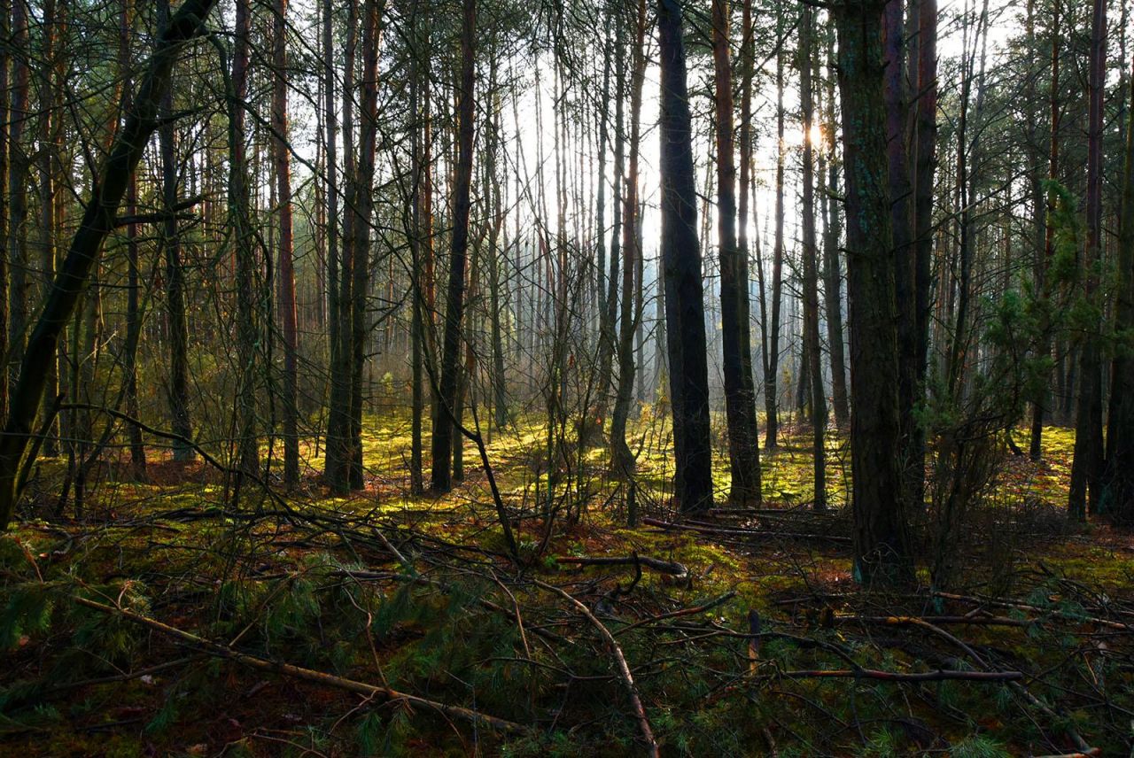 Działka budowlana Turna Duża. Zdjęcie 1