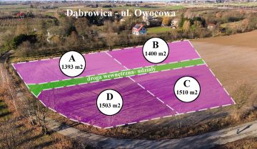 Działka na sprzedaż Dąbrowica Owocowa 1393 m2