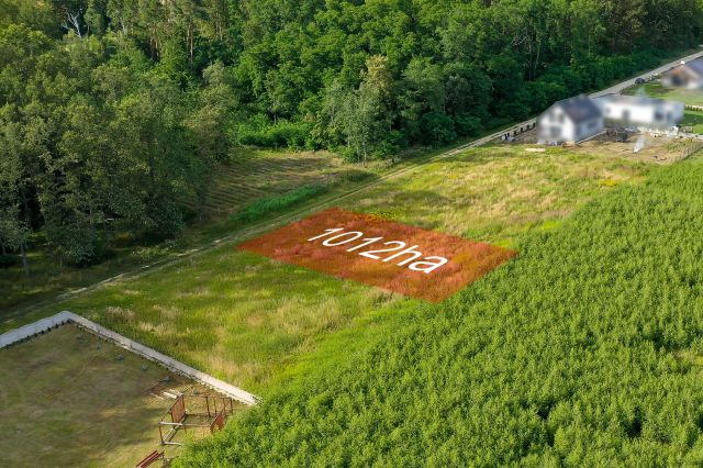 Działka budowlana Wysocko Wielkie, ul. Akacjowa. Zdjęcie 1