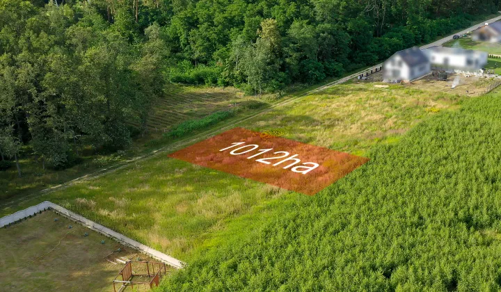 Działka budowlana Wysocko Wielkie, ul. Akacjowa