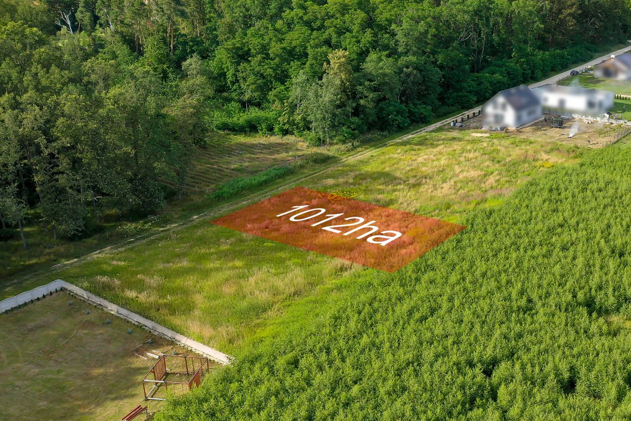 Działka budowlana Wysocko Wielkie, ul. Akacjowa