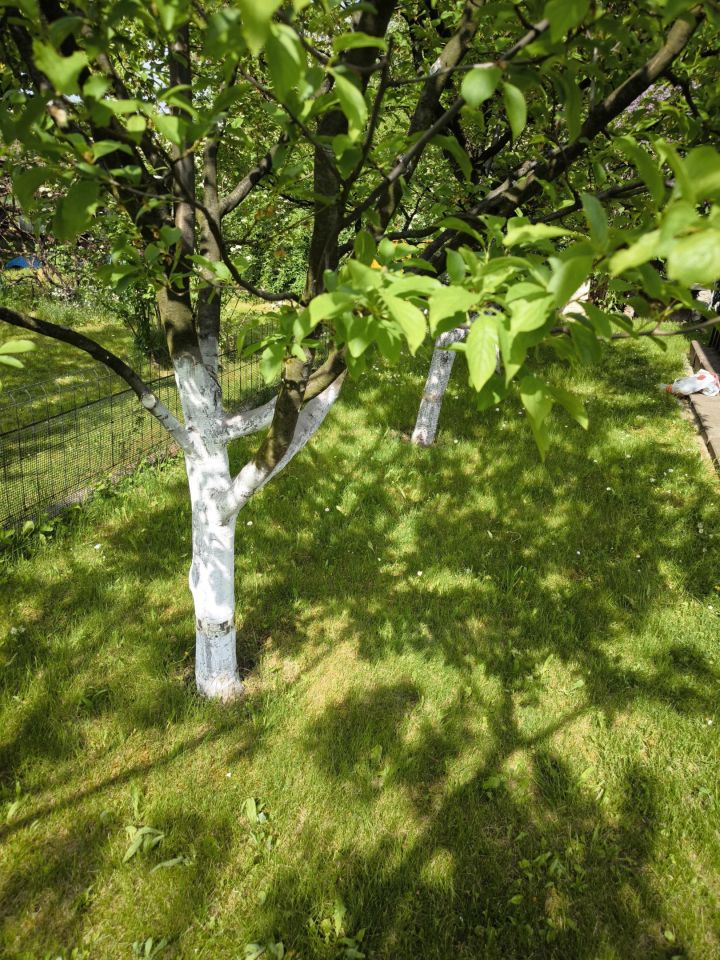 Działka rod Świdnica, ul. Deszczowa. Zdjęcie 14