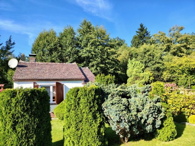 Działka rod Bogatynia. Zdjęcie 1