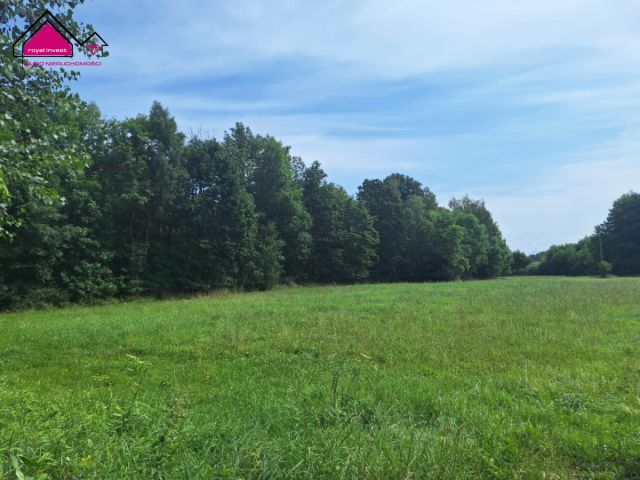 Działka rolna Kępa. Zdjęcie 5