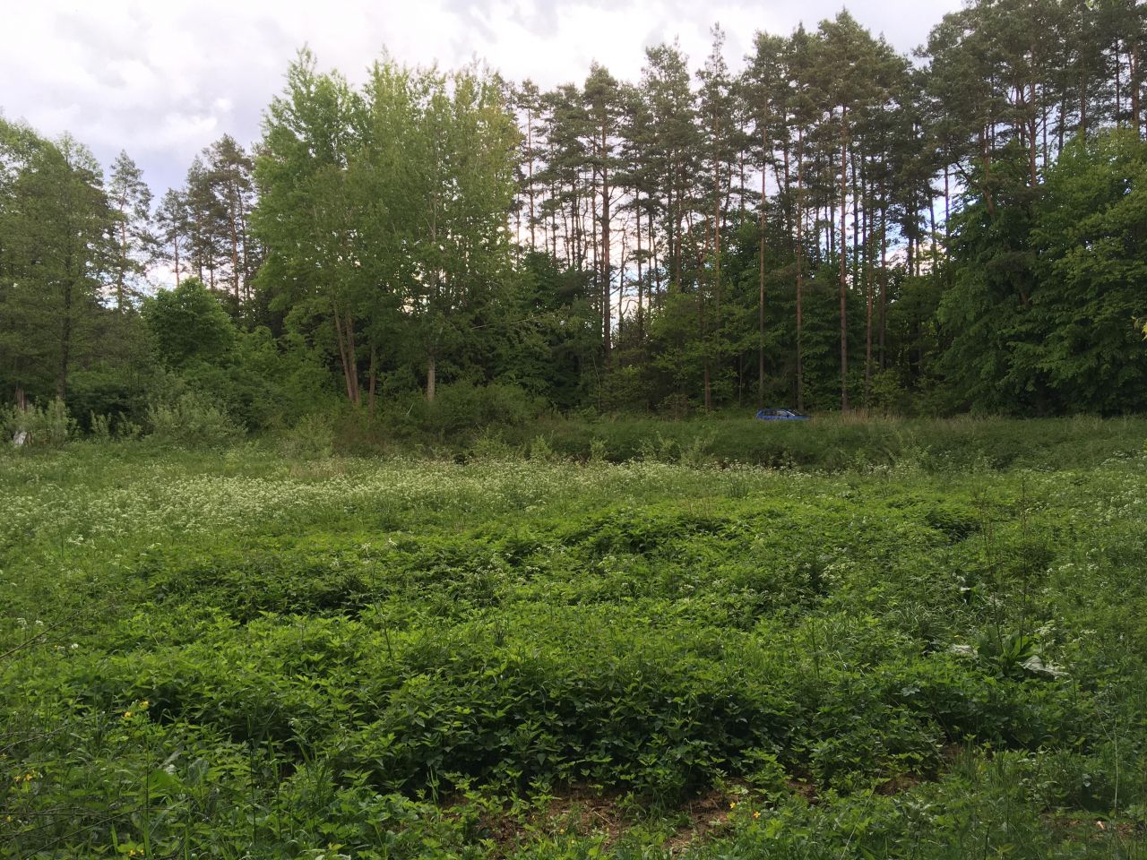 Działka budowlana Spychowo. Zdjęcie 8