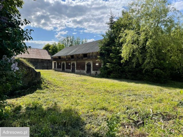 Działka siedliskowa Niemcowizna. Zdjęcie 1