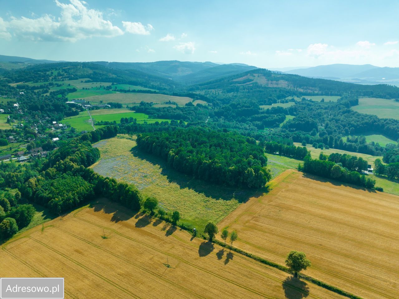 Działka budowlana Podlesie. Zdjęcie 7
