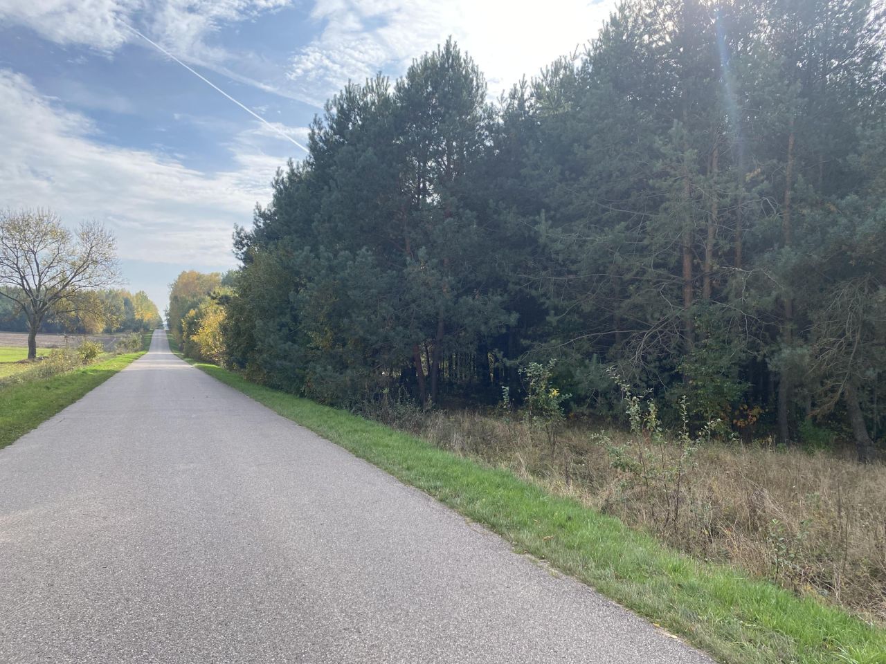 Działka inwestycyjna Osnówka. Zdjęcie 4