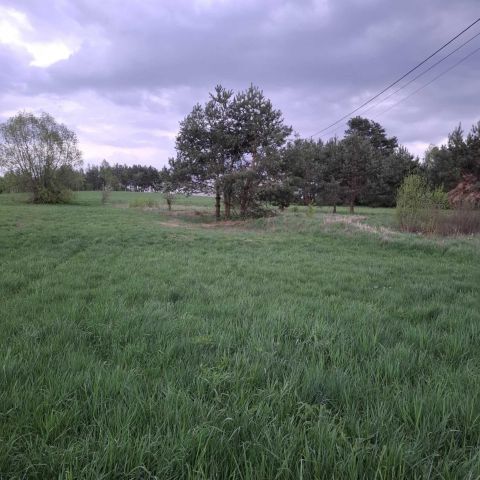 Działka rolno-budowlana Ulasek. Zdjęcie 1