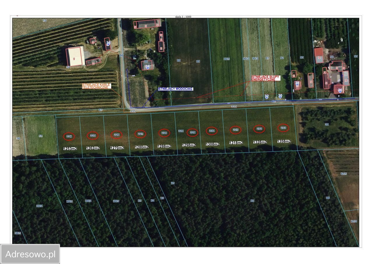 Działka budowlana Lesiew. Zdjęcie 2