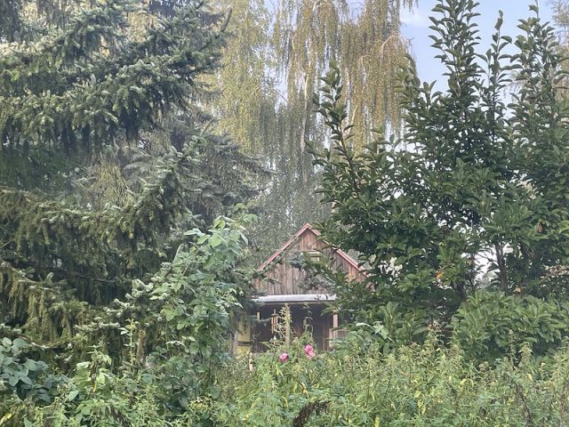 siedlisko, 4 pokoje Radzików-Oczki. Zdjęcie 21