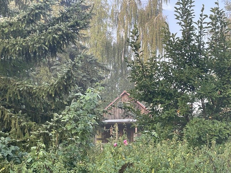 siedlisko, 4 pokoje Radzików-Oczki. Zdjęcie 21