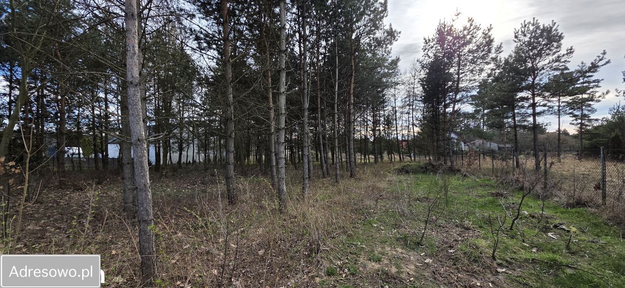 Działka budowlana Zawiercie Wydra Zielona, ul. Winna. Zdjęcie 5