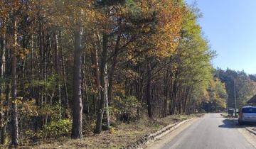 Działka leśna Bierzewice