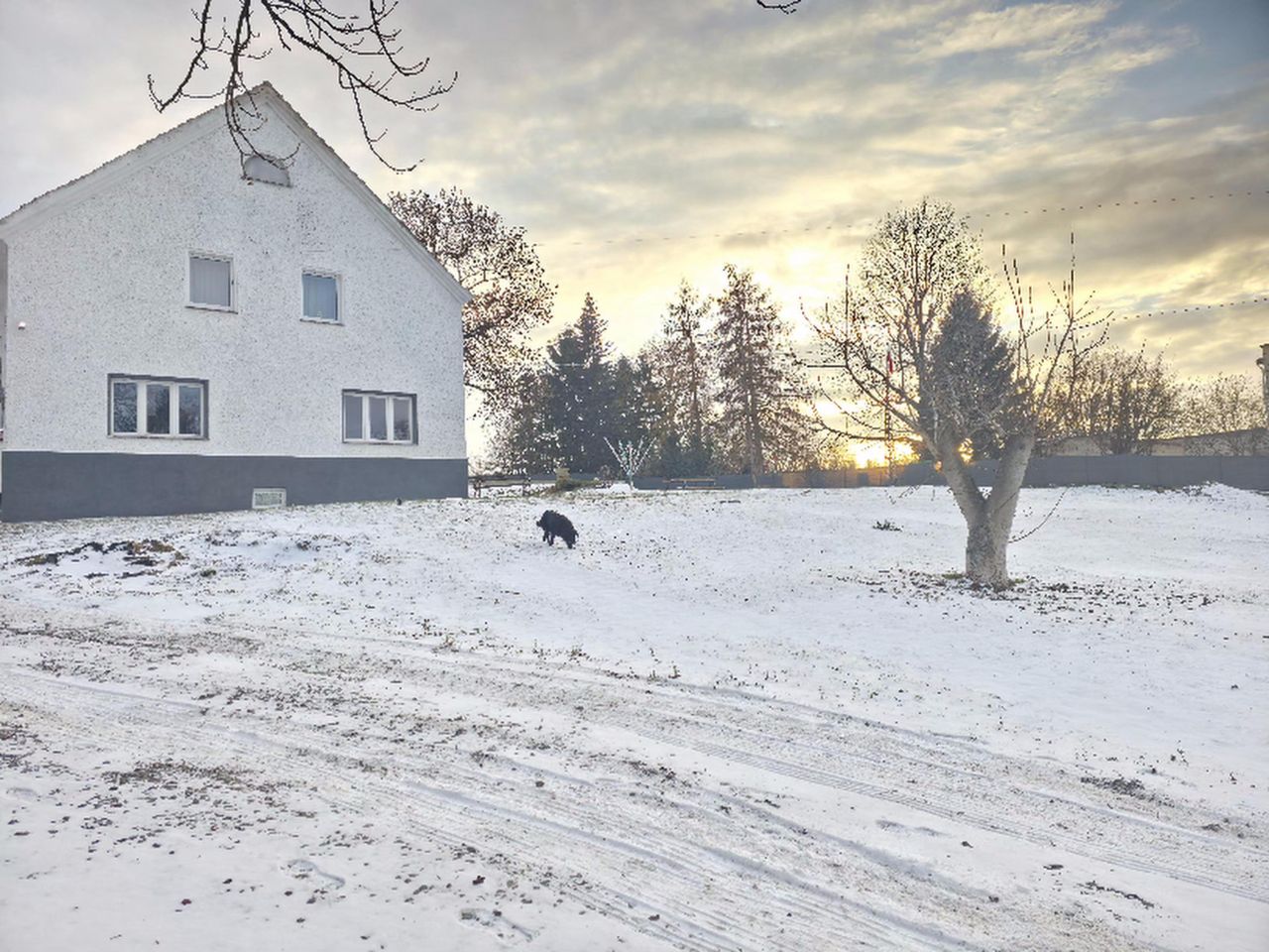 dom wolnostojący, 10 pokoi Stoszowice. Zdjęcie 9