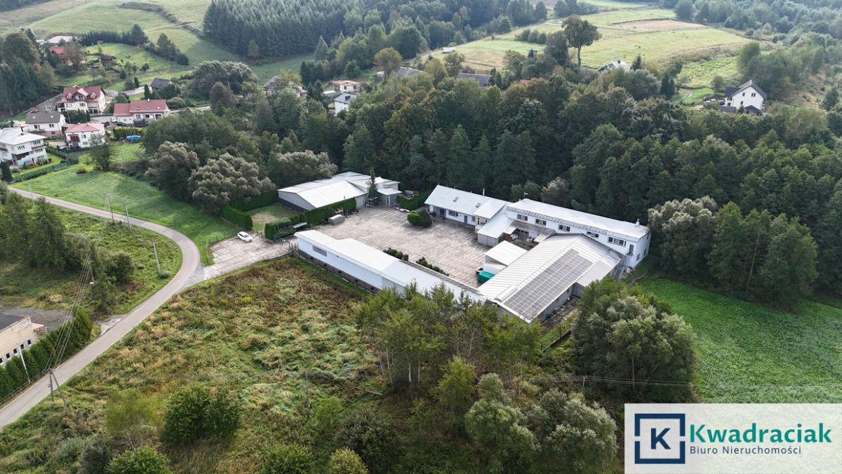 Lokal Brzozów. Zdjęcie 2