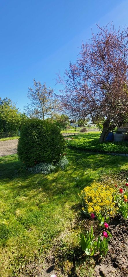 Działka rod Nowe Skalmierzyce. Zdjęcie 7