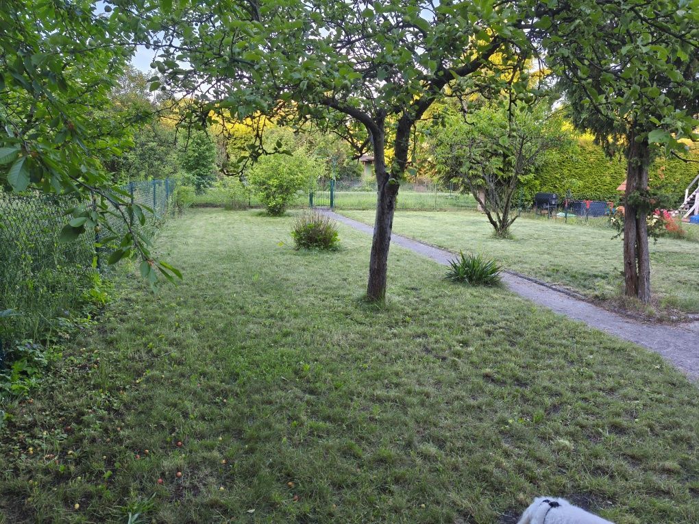 Działka rod Łódź Dąbrowa, ul. mjr. Eugeniusza Nurta-Kaszyńskiego. Zdjęcie 4