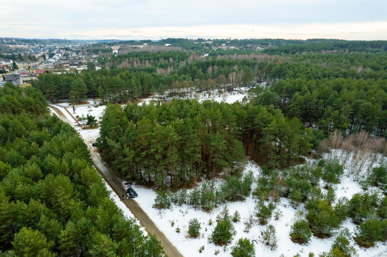 Działka rolno-budowlana Rzędkowice, ul. Leśna. Zdjęcie 6