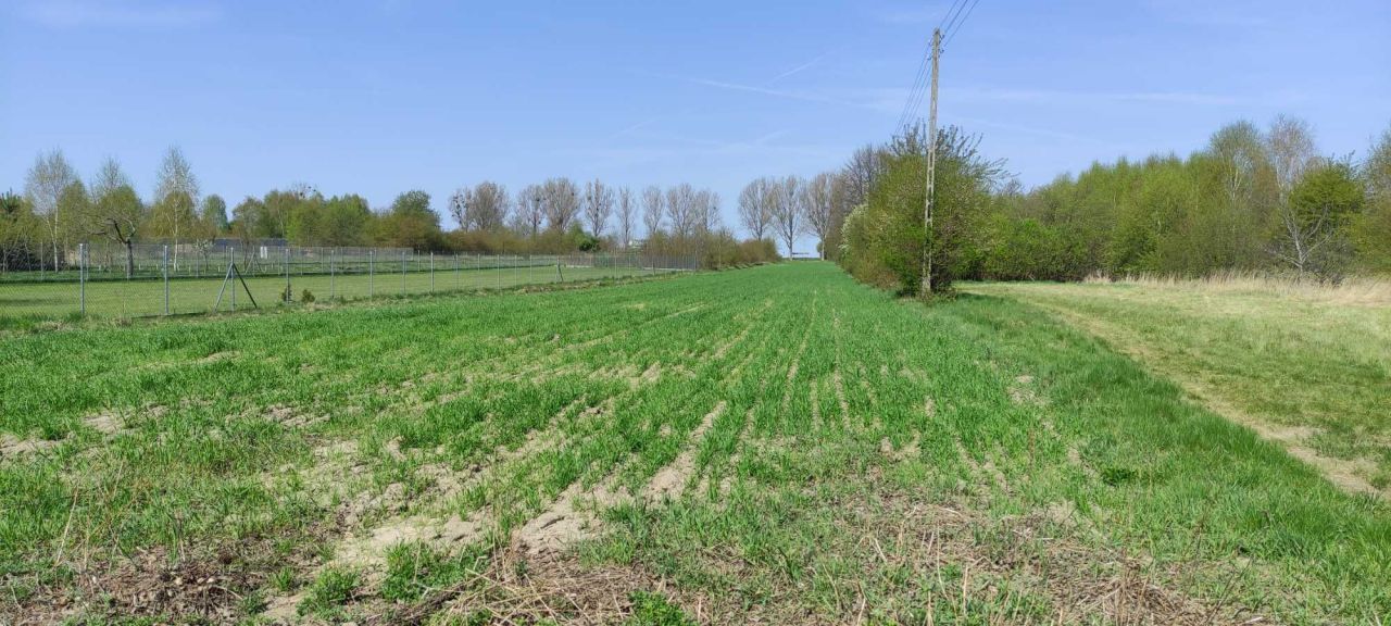 Działka budowlana Dąbrówka Wielka. Zdjęcie 7