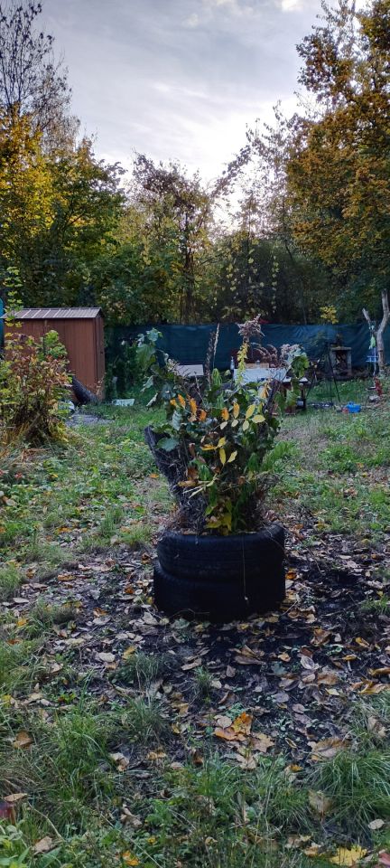 Działka rod Gliwice Zatorze, ul. Towarowa. Zdjęcie 3