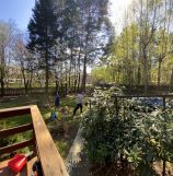 Działka rekreacyjna Wieliszew, ul. Mirabelki. Zdjęcie 4