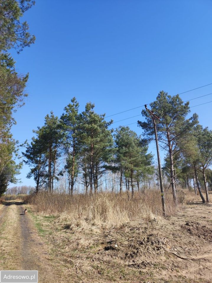 Działka budowlana Wyszewo. Zdjęcie 3