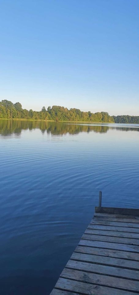Działka rekreacyjna Pozorty. Zdjęcie 2