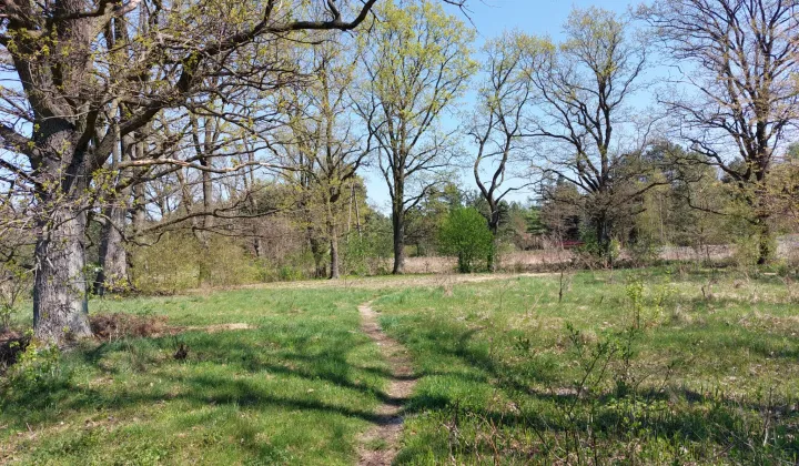 Działka budowlana Łosie, ul. Nad Łąkami
