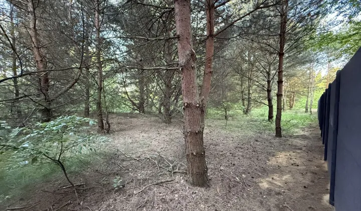 Działka budowlana Wioska, ul. Jodłowa